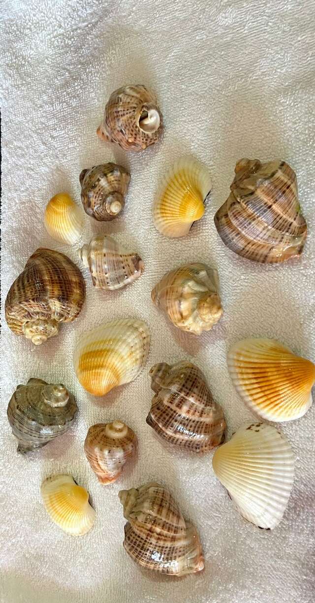 Отель Омега Витязево-143